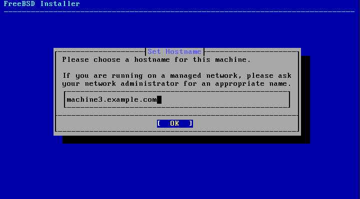 Setting the hostname