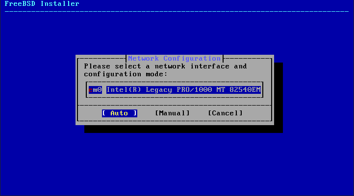 Menu showing the different network interfaces to configure.