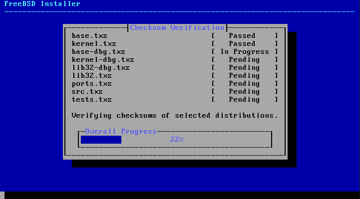 Menu showing the verification of the different components.