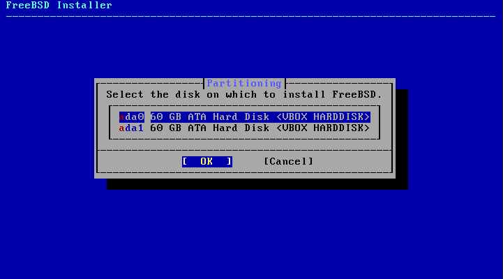 Shows the list of disks on which FreeBSD can be installed