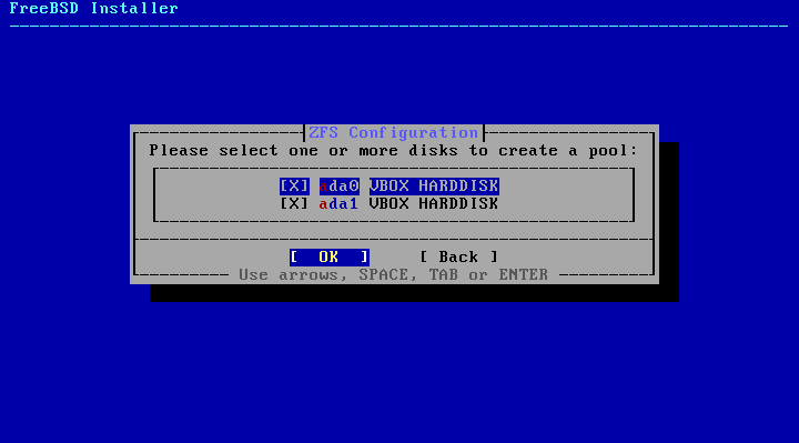Menu requesting how many disks will be added to the pool